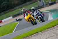 Evening Low_Mid Group Yellow Bikes